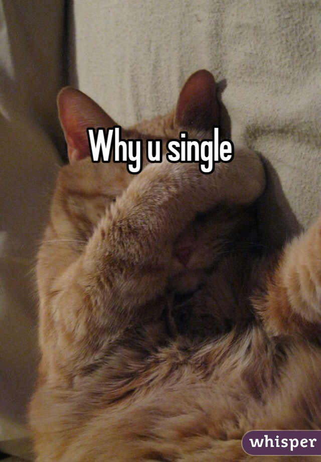 Why u single 