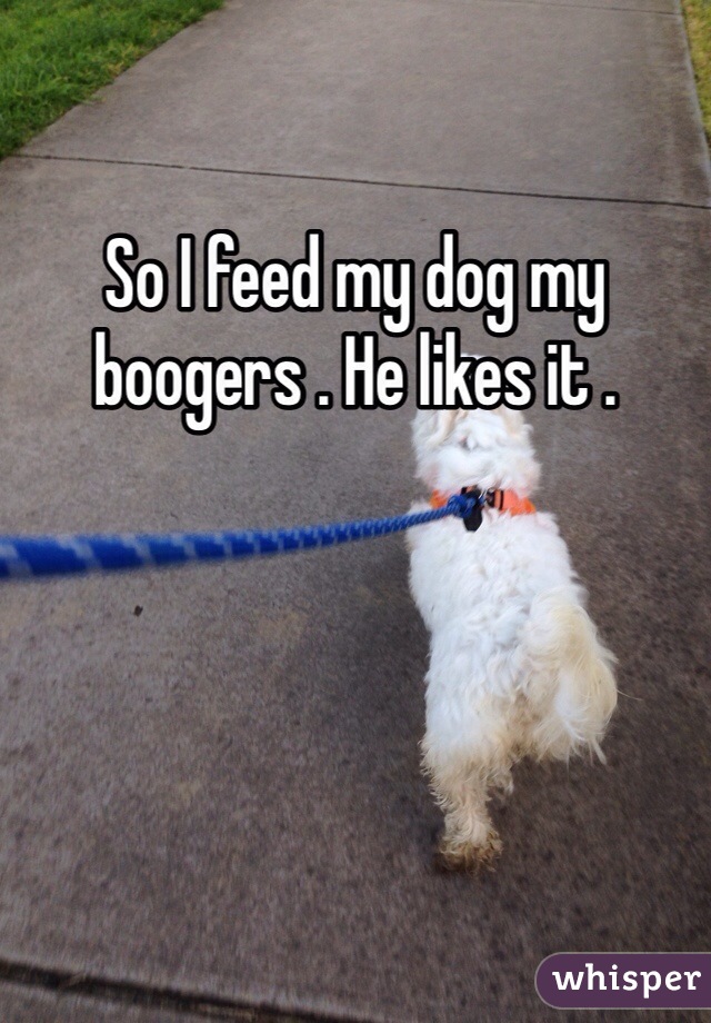 So I feed my dog my boogers . He likes it . 