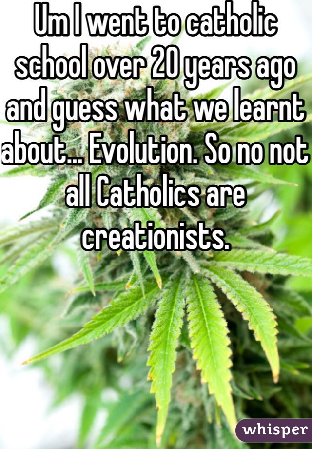 Um I went to catholic school over 20 years ago and guess what we learnt about... Evolution. So no not all Catholics are creationists. 