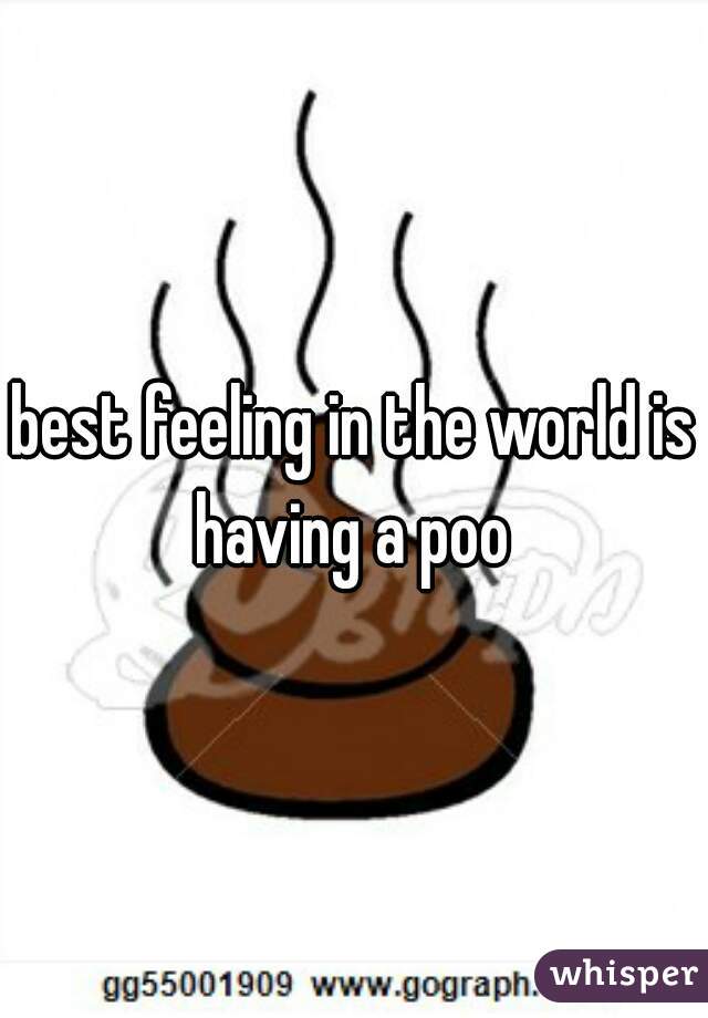 best feeling in the world is having a poo 