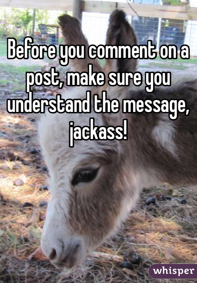 Before you comment on a post, make sure you understand the message, jackass!