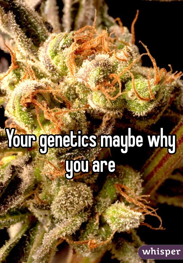 Your genetics maybe why you are