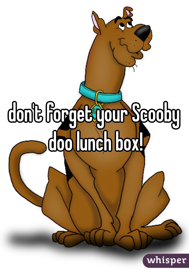 don't forget your Scooby doo lunch box!