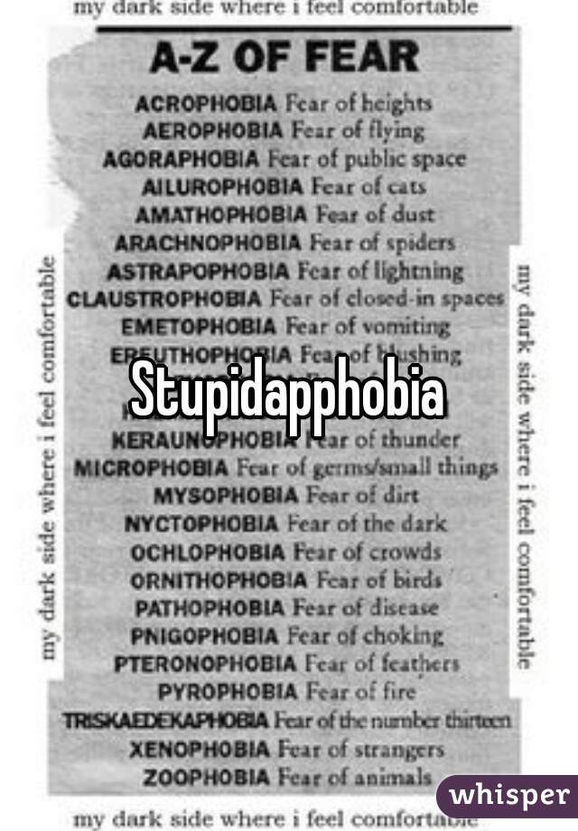 Stupidapphobia