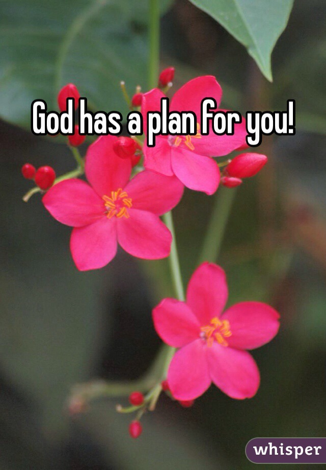 God has a plan for you!