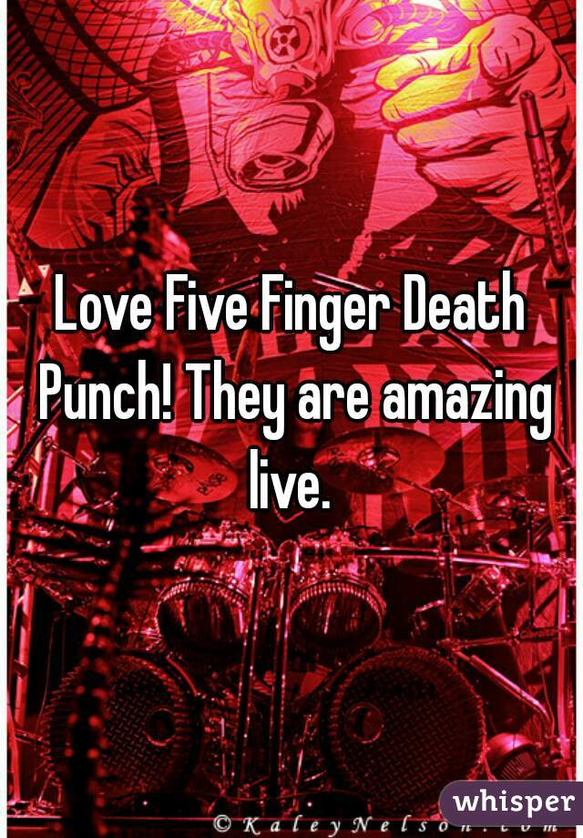 Love Five Finger Death Punch! They are amazing live. 