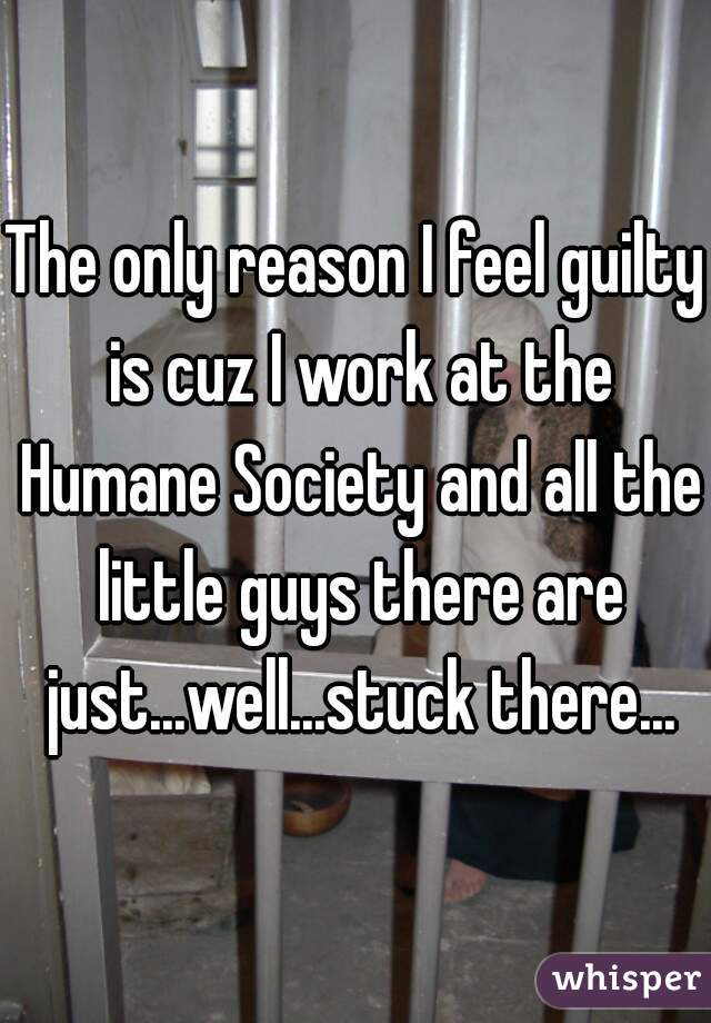 The only reason I feel guilty is cuz I work at the Humane Society and all the little guys there are just...well...stuck there...