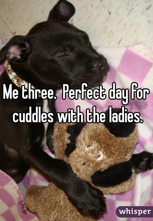 Me three.  Perfect day for cuddles with the ladies.