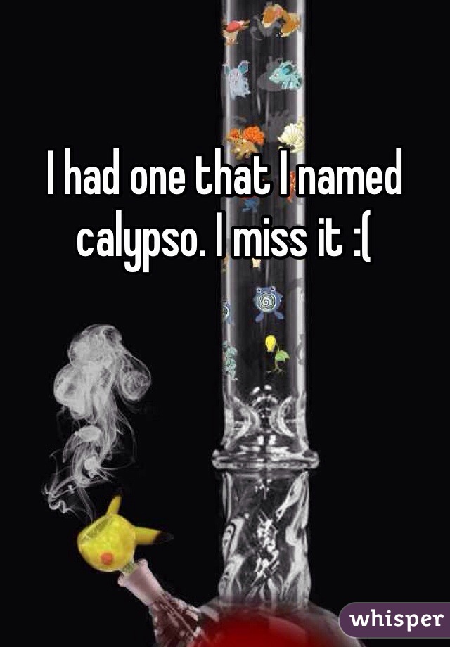 I had one that I named calypso. I miss it :( 