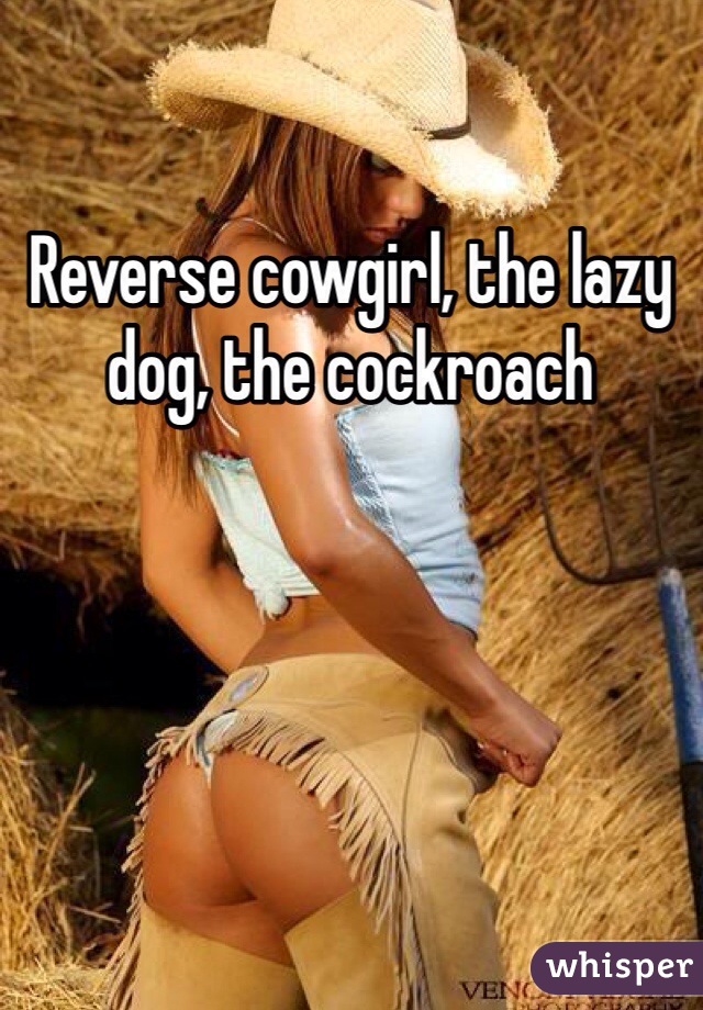 Reverse cowgirl, the lazy dog, the cockroach 