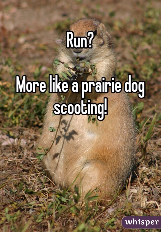 Run? 

More like a prairie dog scooting!