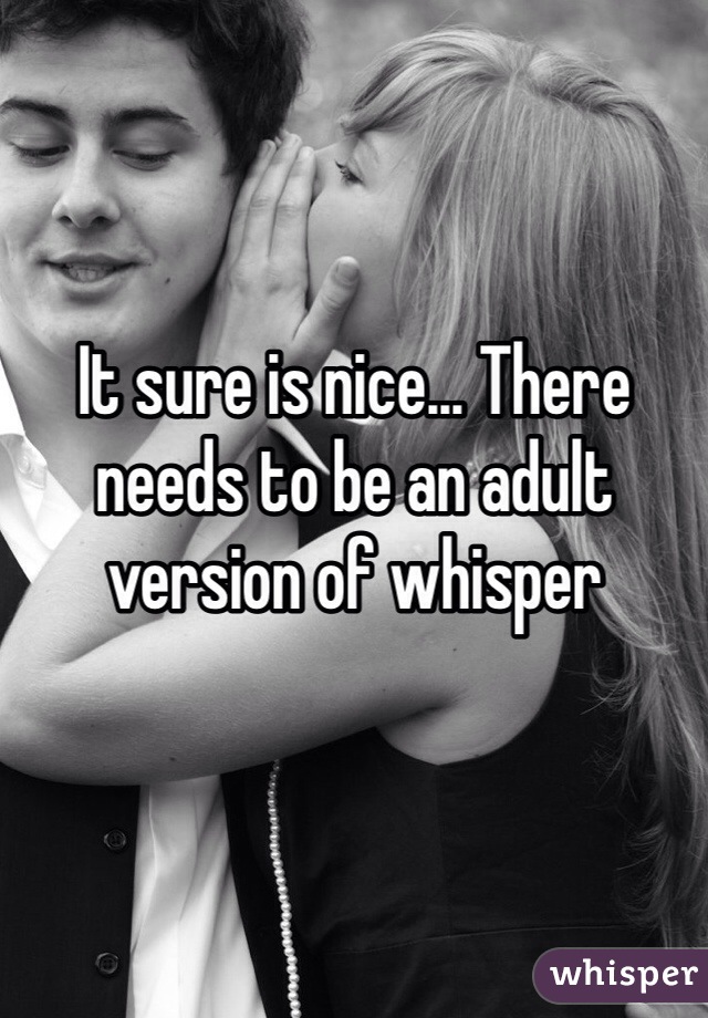 It sure is nice... There needs to be an adult version of whisper