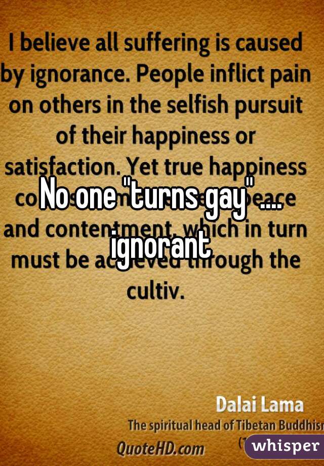 No one "turns gay" .... ignorant 