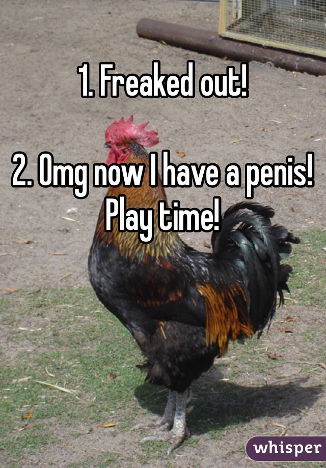 1. Freaked out! 

2. Omg now I have a penis! Play time!