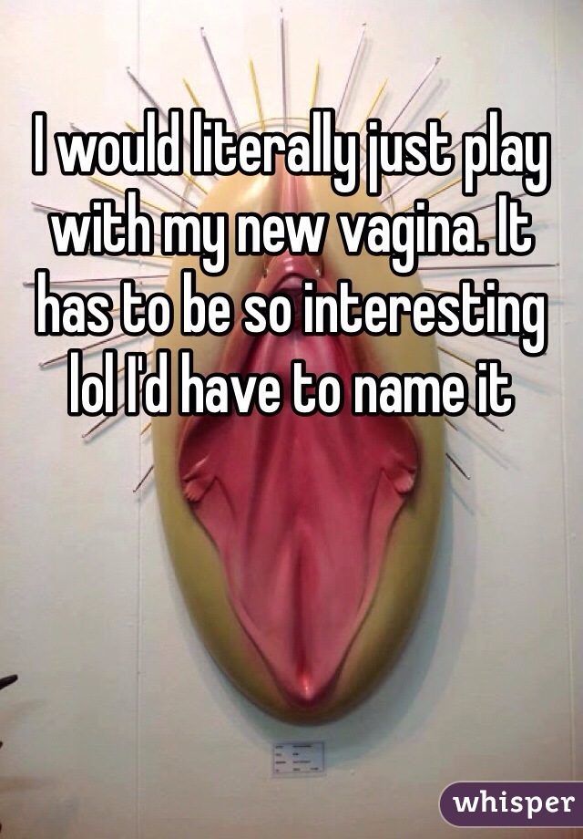 I would literally just play with my new vagina. It has to be so interesting lol I'd have to name it