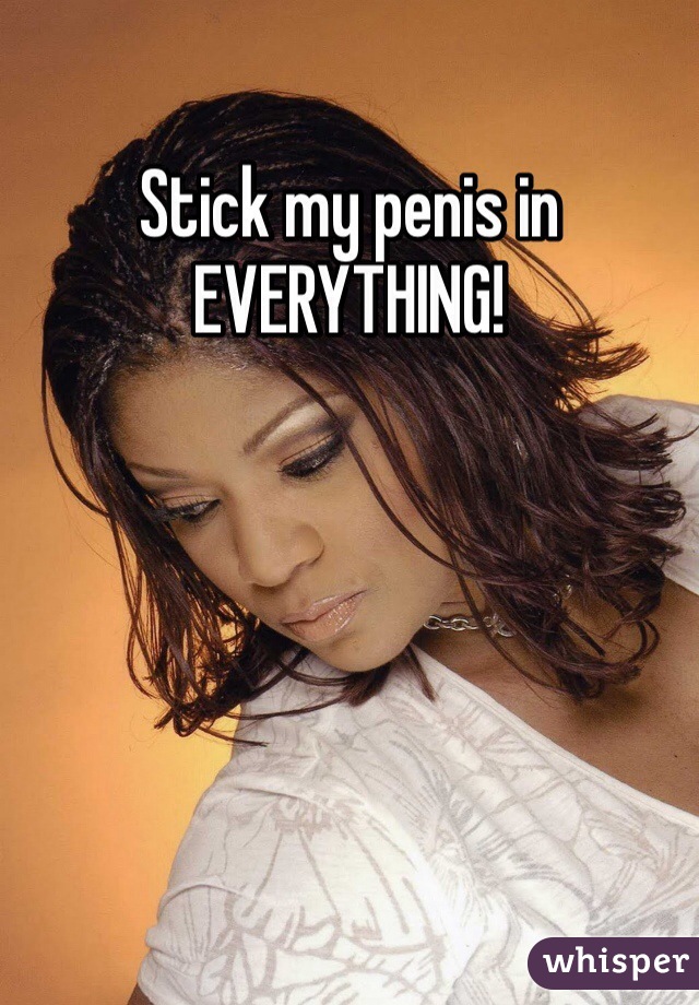 Stick my penis in EVERYTHING!