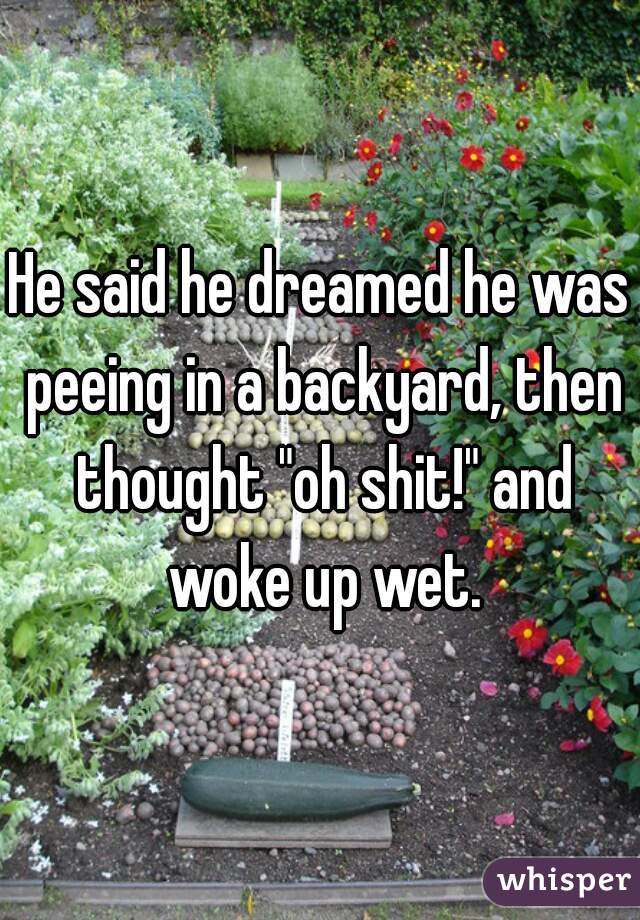 He said he dreamed he was peeing in a backyard, then thought "oh shit!" and woke up wet.