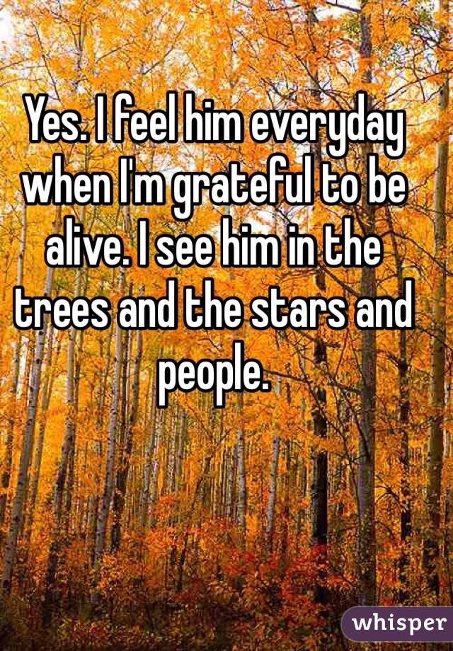 Yes. I feel him everyday when I'm grateful to be alive. I see him in the trees and the stars and people. 