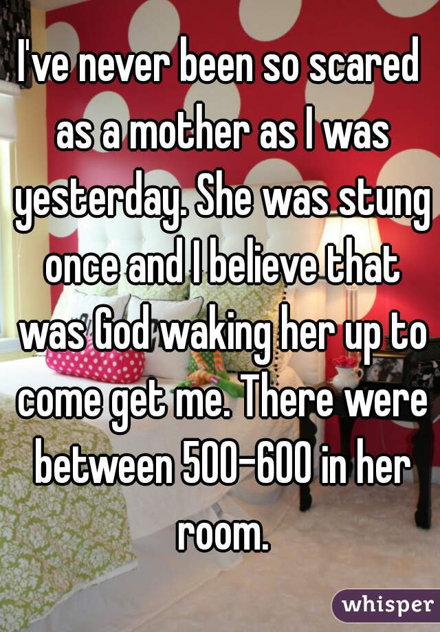 I've never been so scared as a mother as I was yesterday. She was stung once and I believe that was God waking her up to come get me. There were between 500-600 in her room.