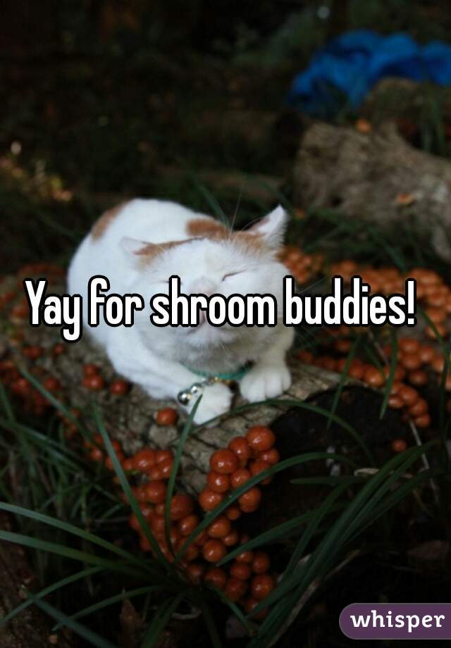 Yay for shroom buddies! 