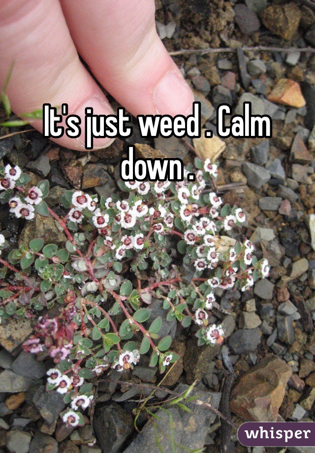 It's just weed . Calm down .