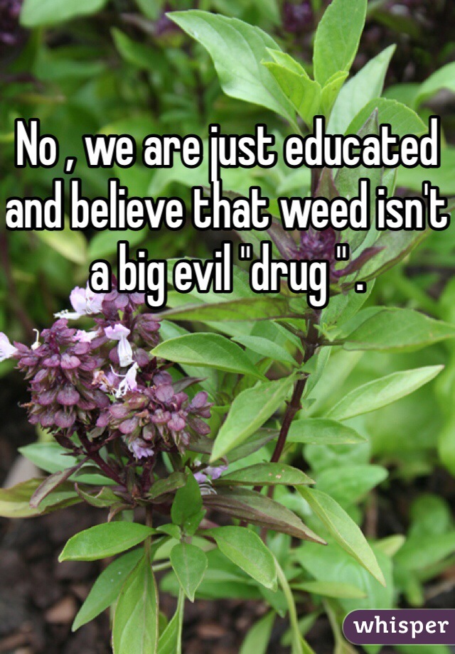 No , we are just educated and believe that weed isn't a big evil "drug " .