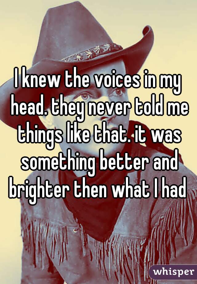 I knew the voices in my head. they never told me things like that. it was something better and brighter then what I had 