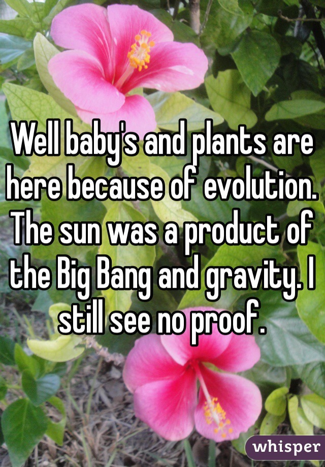 Well baby's and plants are here because of evolution. The sun was a product of the Big Bang and gravity. I still see no proof.