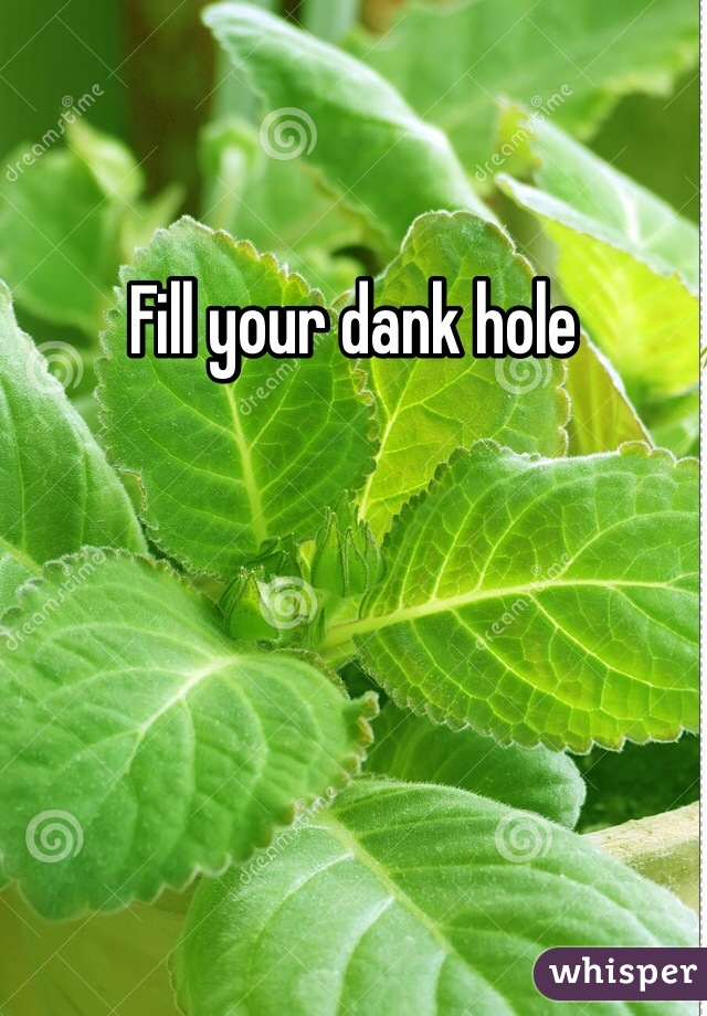 Fill your dank hole 