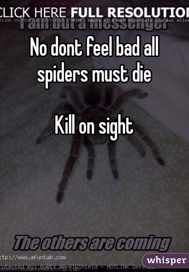No dont feel bad all spiders must die

Kill on sight