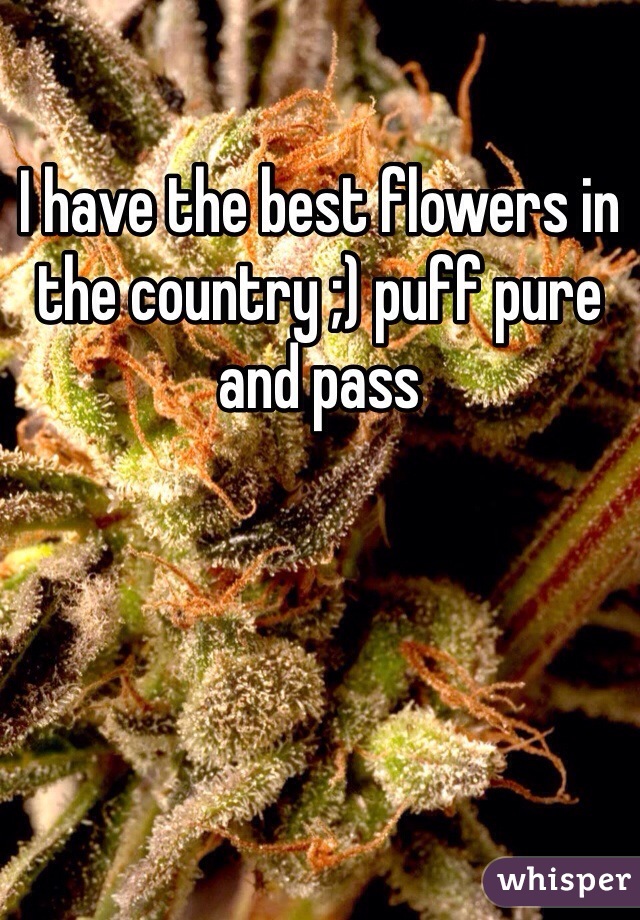 I have the best flowers in the country ;) puff pure and pass