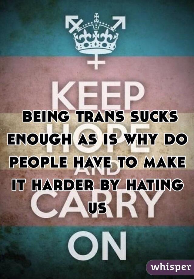  being trans sucks enough as is why do people have to make it harder by hating us
