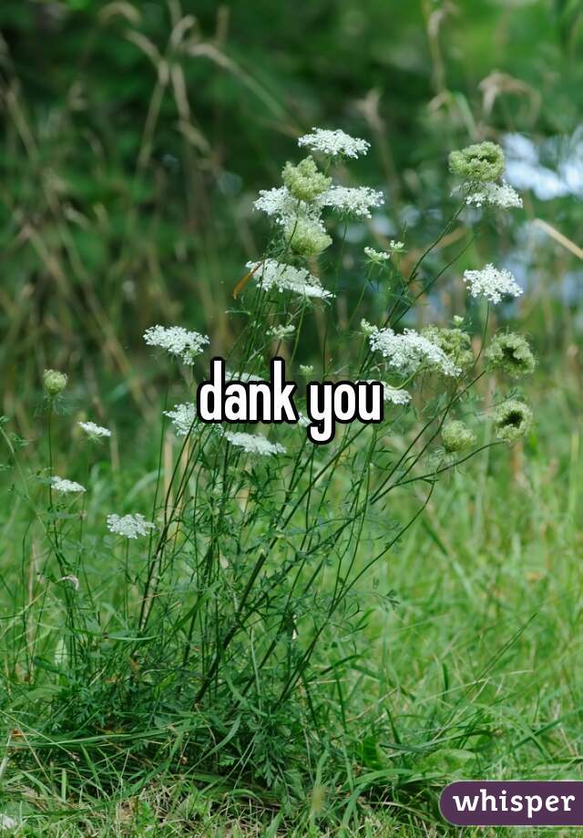 dank you