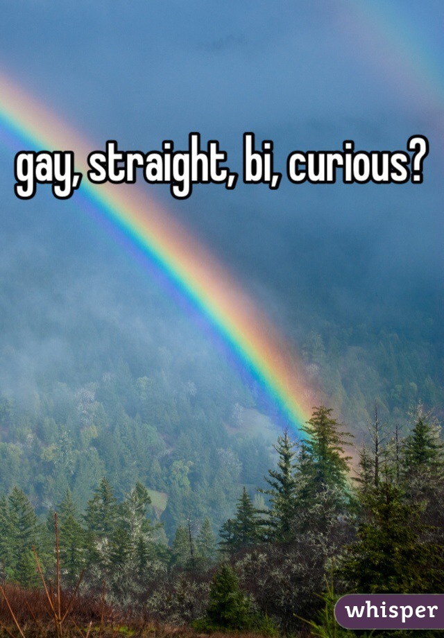 gay, straight, bi, curious? 