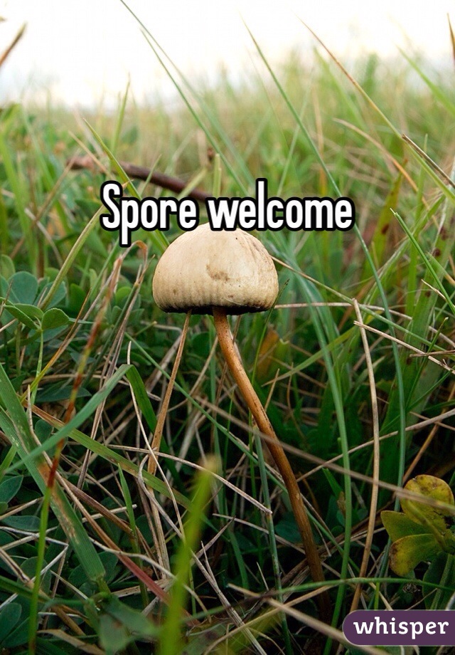 Spore welcome