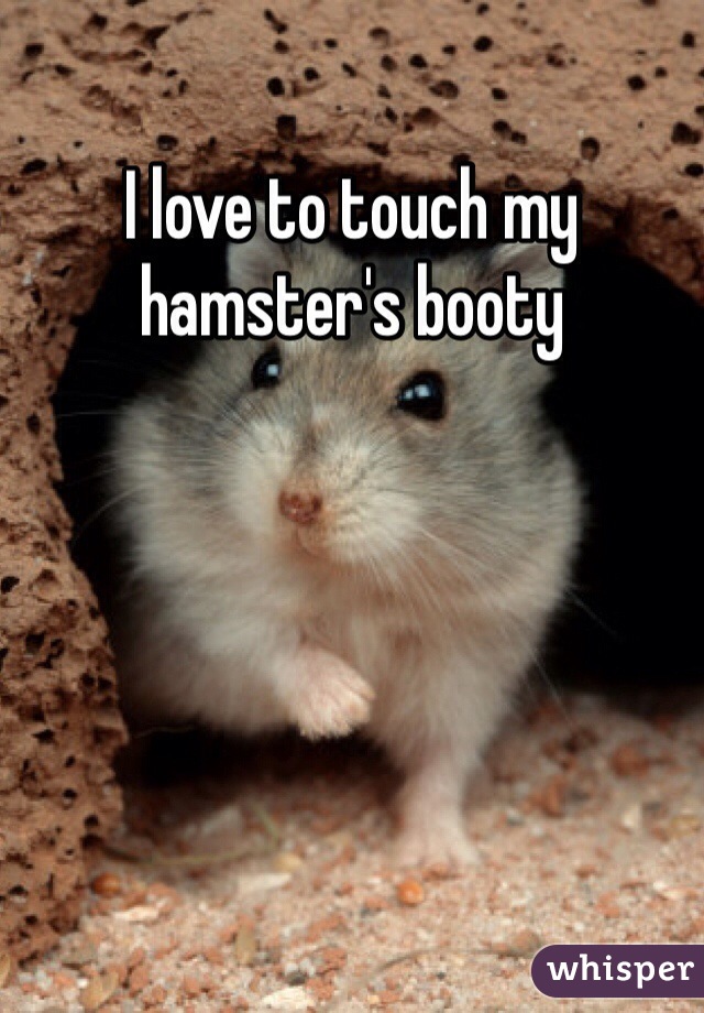 I love to touch my hamster's booty