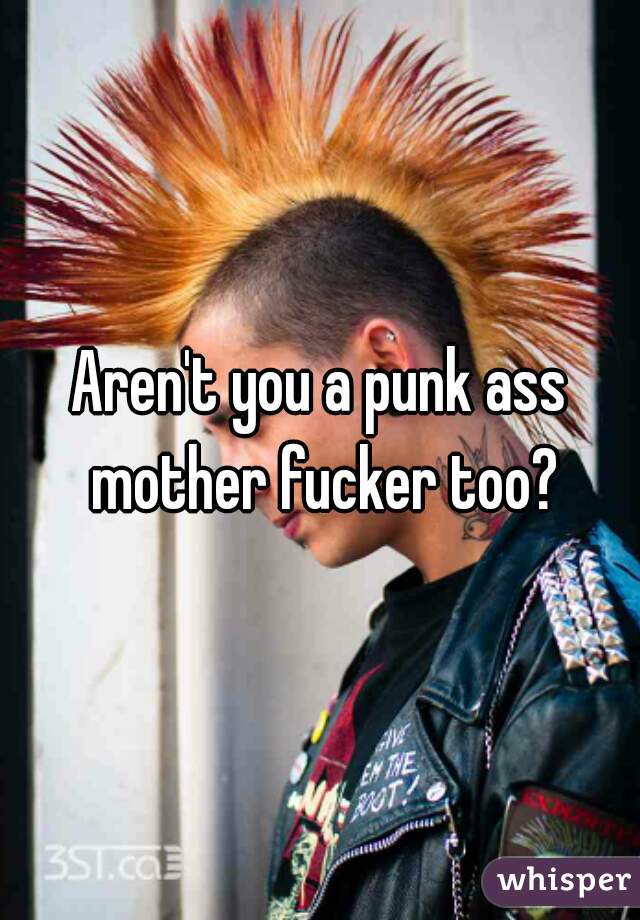 Aren't you a punk ass mother fucker too?