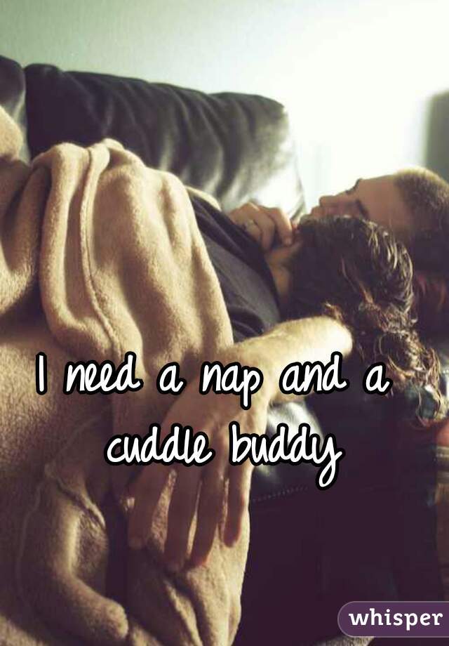 I need a nap and a cuddle buddy