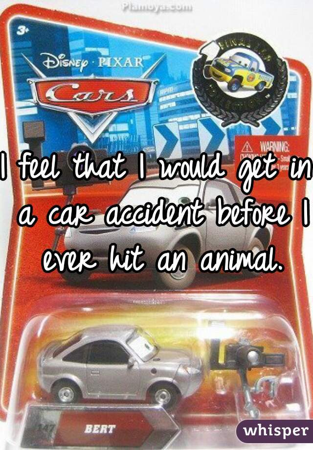 I feel that I would get in a car accident before I ever hit an animal.