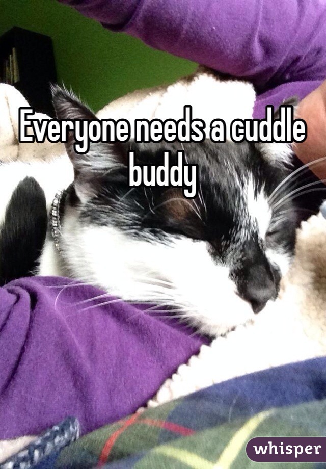 Everyone needs a cuddle buddy