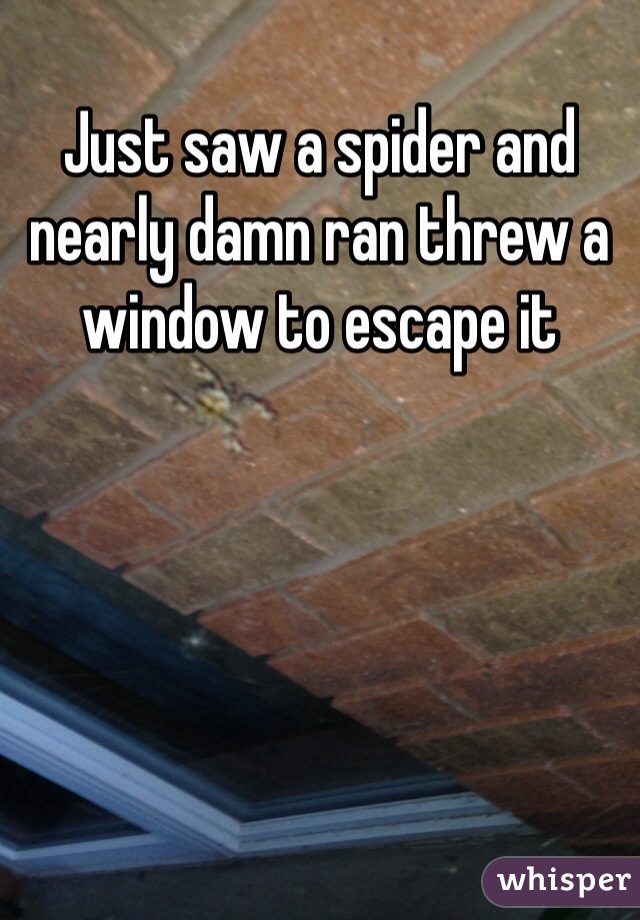 Just saw a spider and nearly damn ran threw a window to escape it