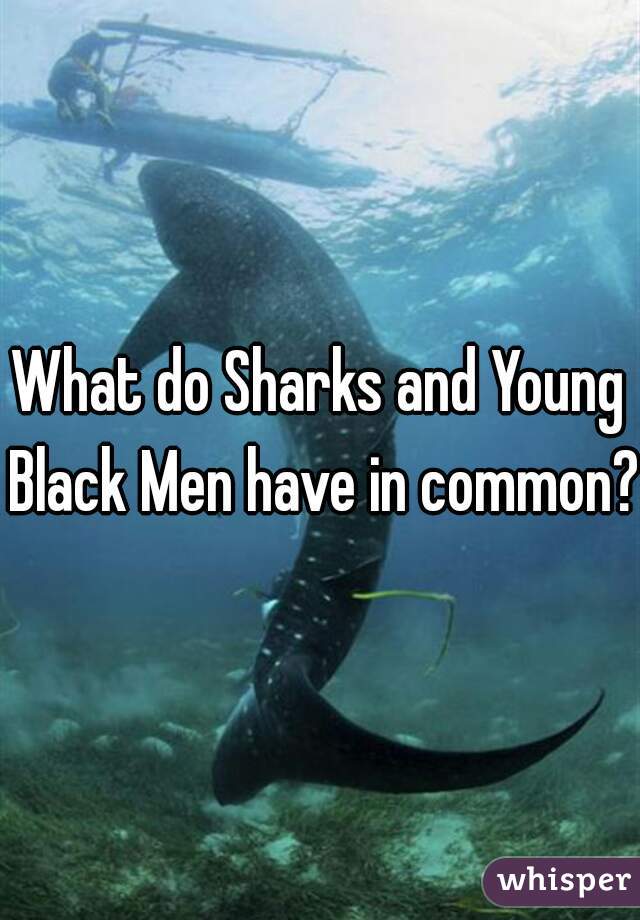 What do Sharks and Young Black Men have in common?