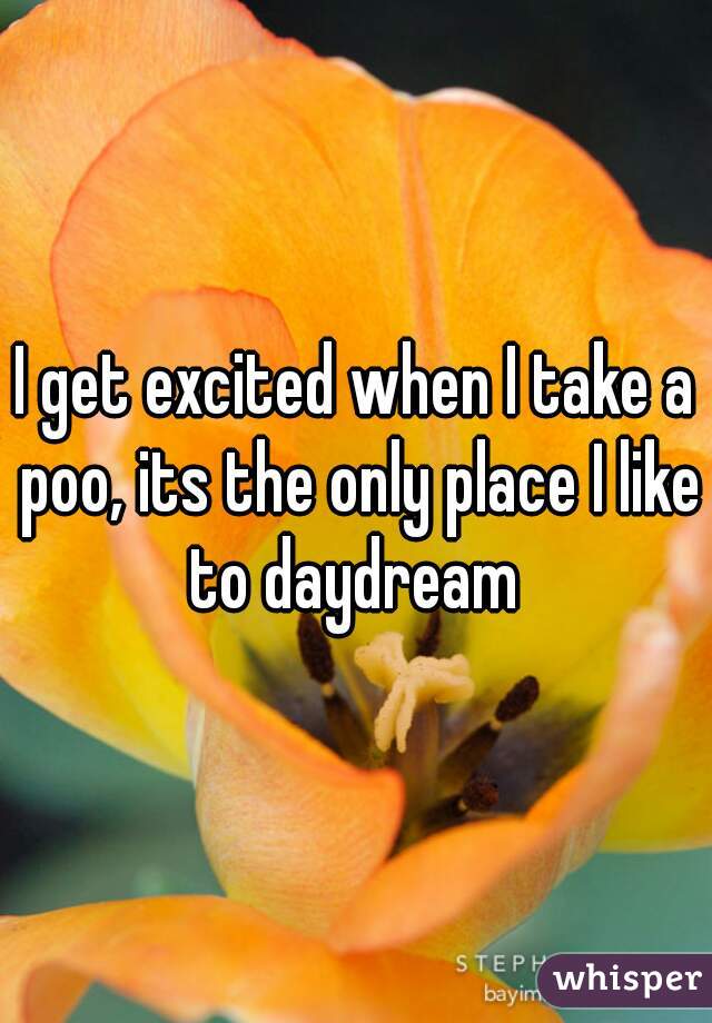 I get excited when I take a poo, its the only place I like to daydream 