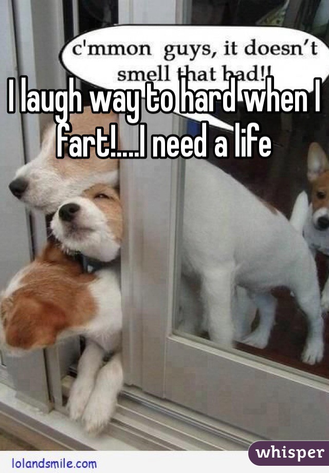 I laugh way to hard when I fart!....I need a life