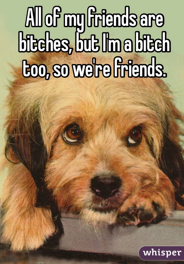 All of my friends are bitches, but I'm a bitch too, so we're friends.