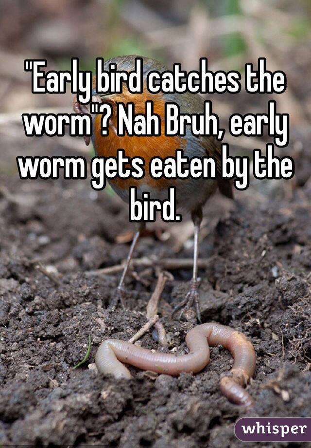 "Early bird catches the worm"? Nah Bruh, early worm gets eaten by the bird.
