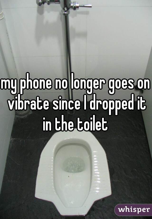 my phone no longer goes on vibrate since I dropped it in the toilet 