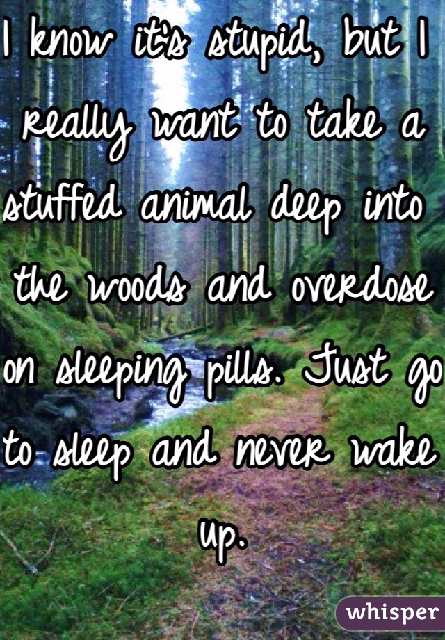 I know it's stupid, but I really want to take a stuffed animal deep into the woods and overdose on sleeping pills. Just go to sleep and never wake up. 