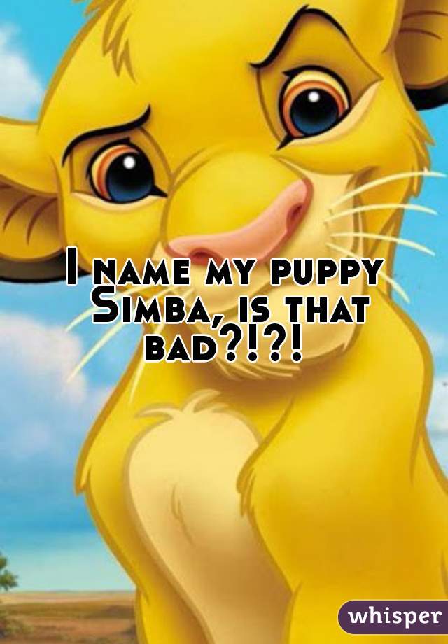 I name my puppy Simba, is that bad?!?! 