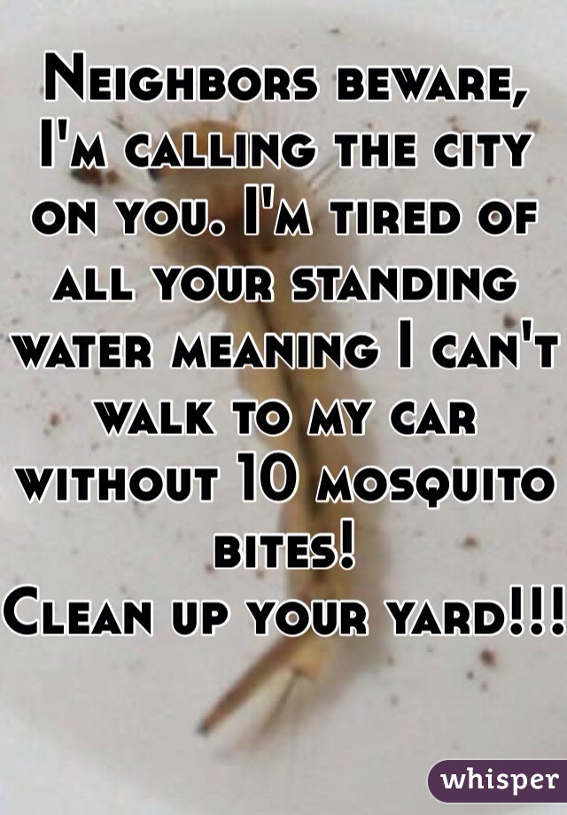 Neighbors beware, I'm calling the city on you. I'm tired of all your standing water meaning I can't walk to my car without 10 mosquito bites! 
Clean up your yard!!!